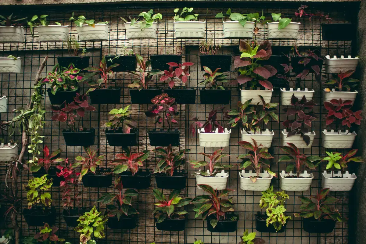 Jardines Verticales